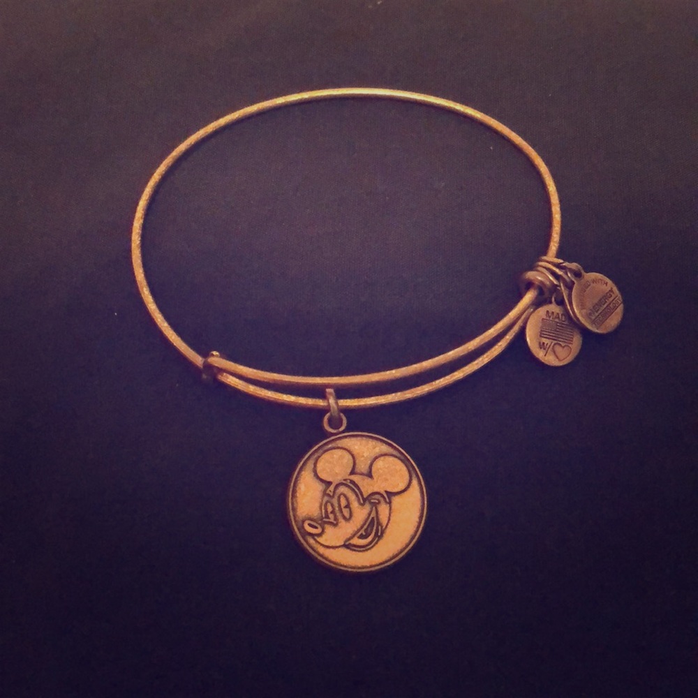 DISNEY MICKEY MOUSE ALEX AND ANI